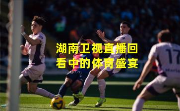 湖南卫视直播回看中的体育盛宴