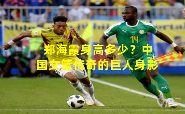 郑海霞身高多少?中国女篮传奇的巨人身影