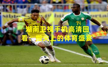湖南卫视手机高清回看：指尖上的体育盛宴